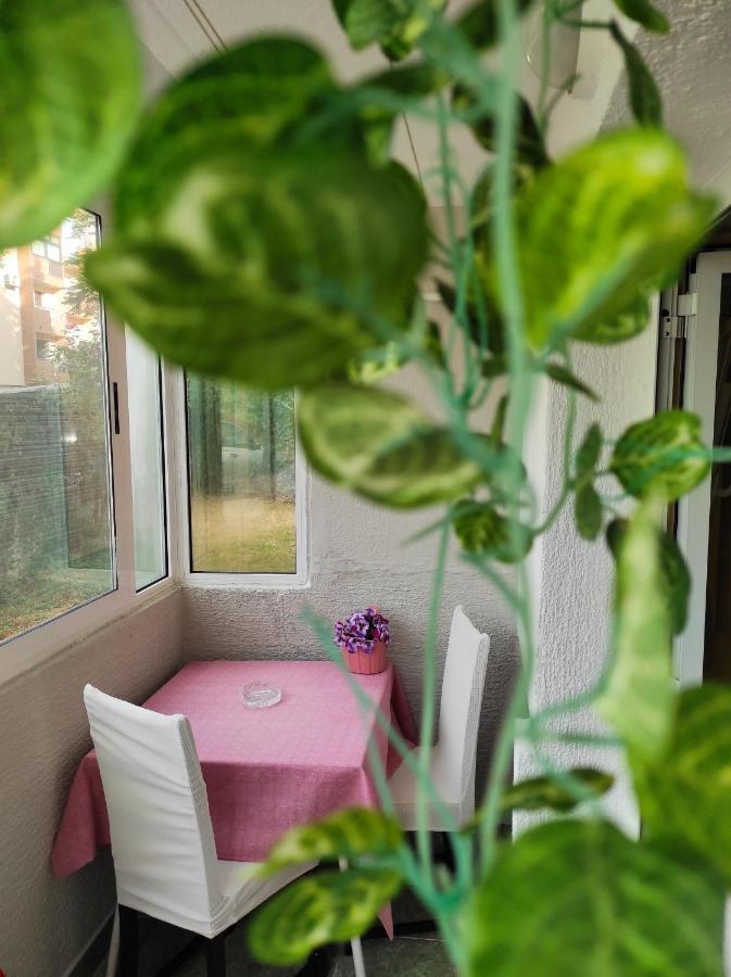 Apartment Sanja Pazin Exteriör bild
