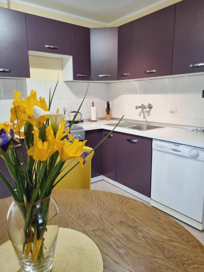 Apartment Sanja Pazin Exteriör bild