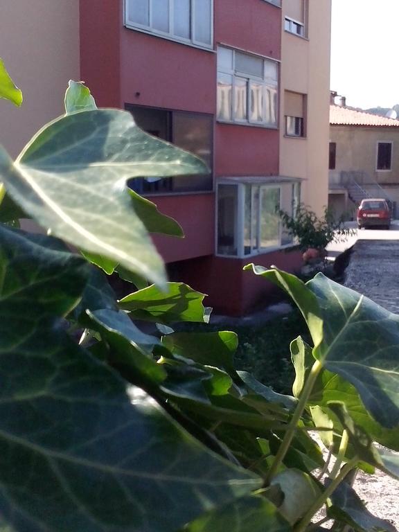 Apartment Sanja Pazin Rum bild