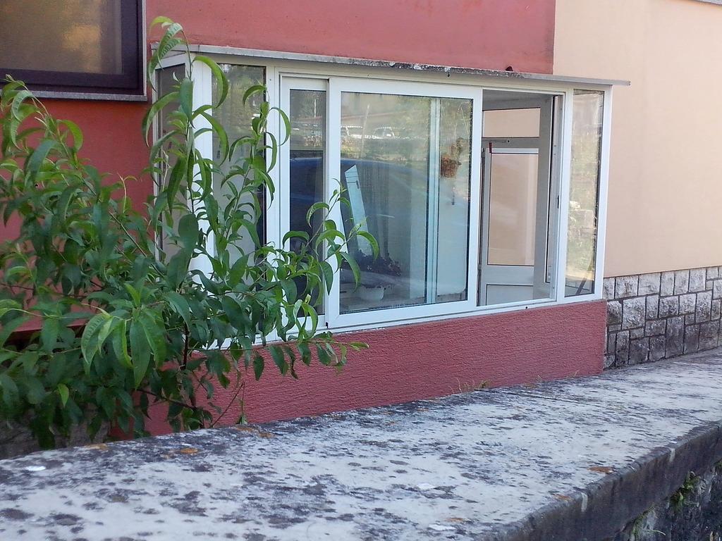 Apartment Sanja Pazin Rum bild
